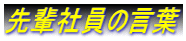 先輩社員の言葉 